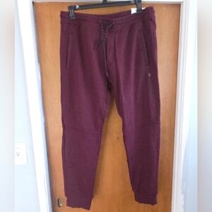 Rare! American Eagle Sweatpants joggers Men's Flex Active Joggers large Tall